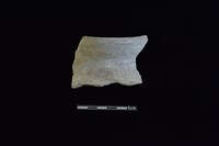 藏品(陶罐)的圖片